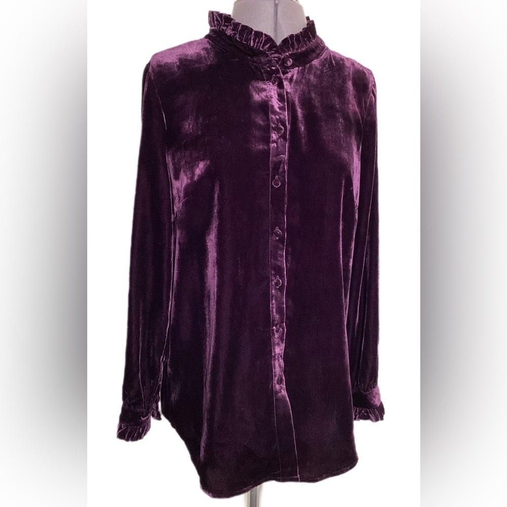 Royalcore Velvet Button Up Top S Whimsigoth Artsy Romantic